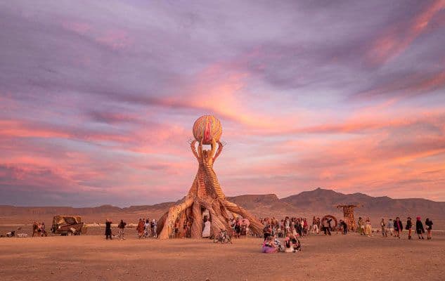 Picture of AfrikaBurn: A Guide to the Essentials for Attendees cover image